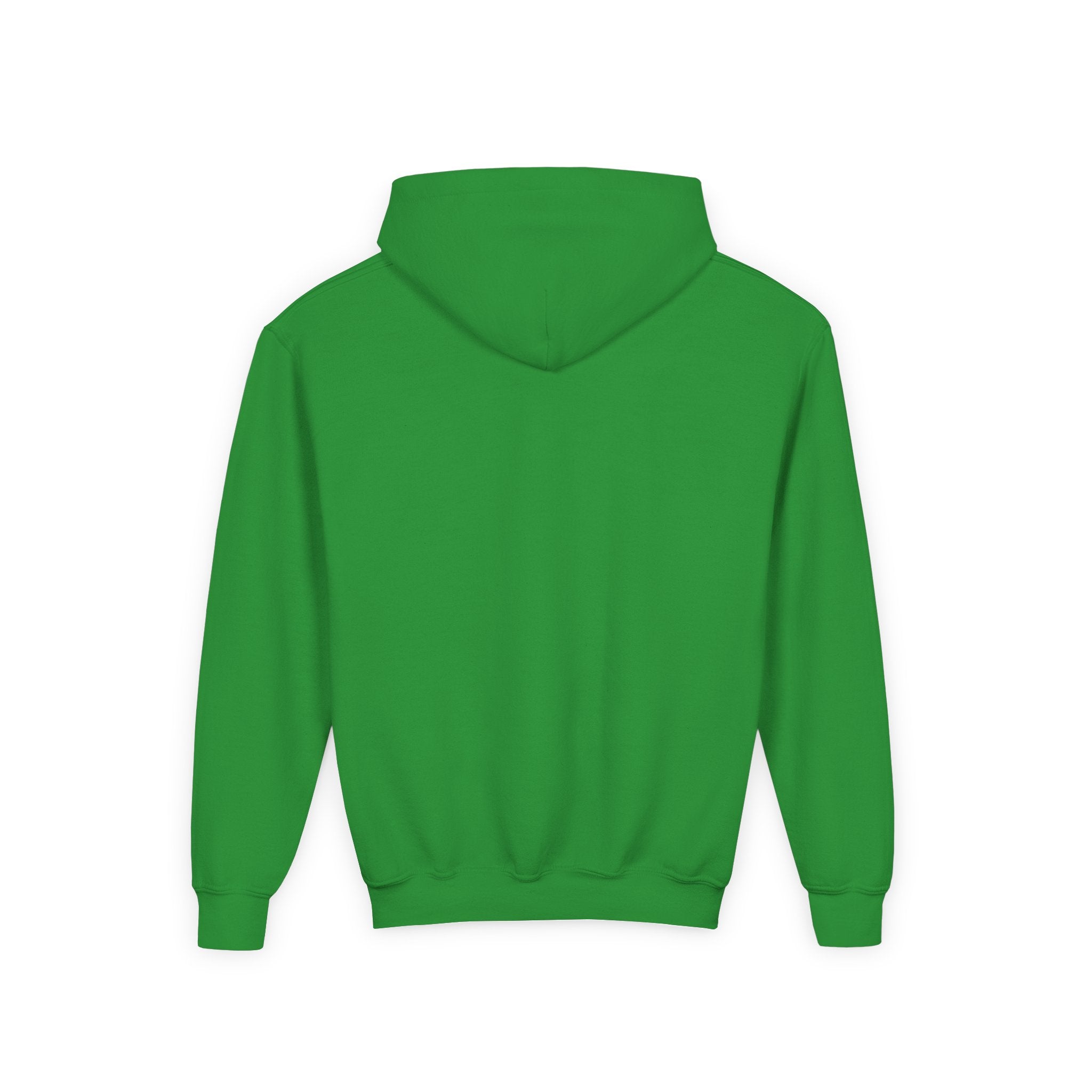 Youth Hoodie — Kind Creatures Company Logo Pullover