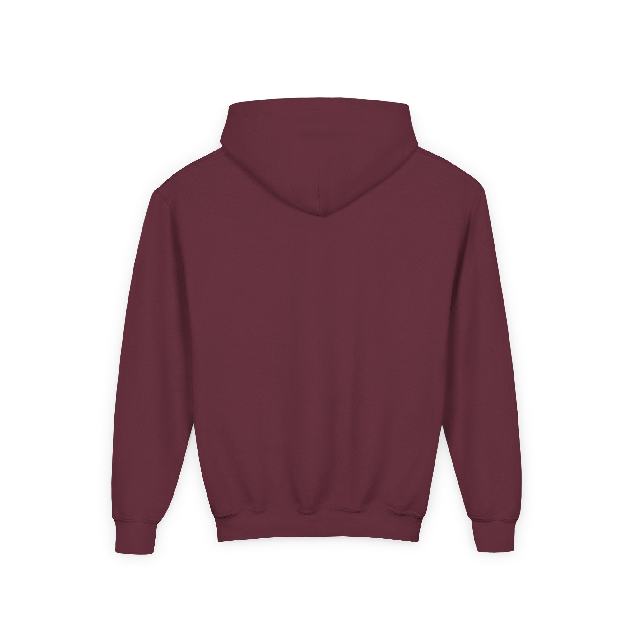 Youth Hoodie — Kind Creatures Company Logo Pullover