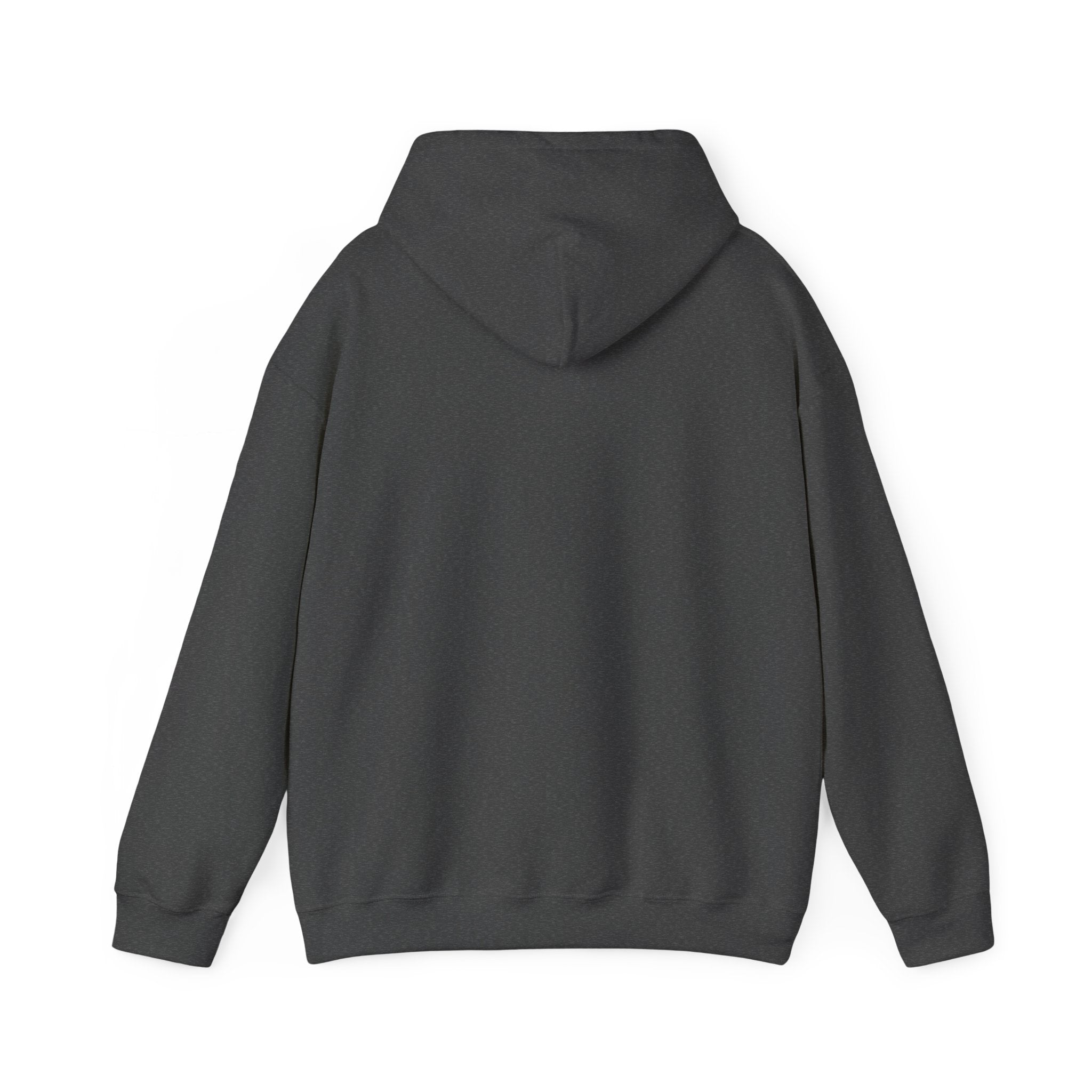 Just a Girl Who Loves Horses Hoodie — Women's Equestrian Sweatshirt